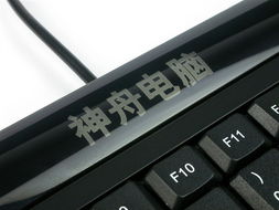 神舟唐朝 F100 一体电脑 简洁高效的办公与家用桌面解决方案