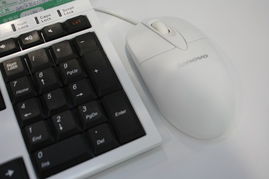 联想C305舒适型3250e一体电脑 视觉与性能的和谐统一